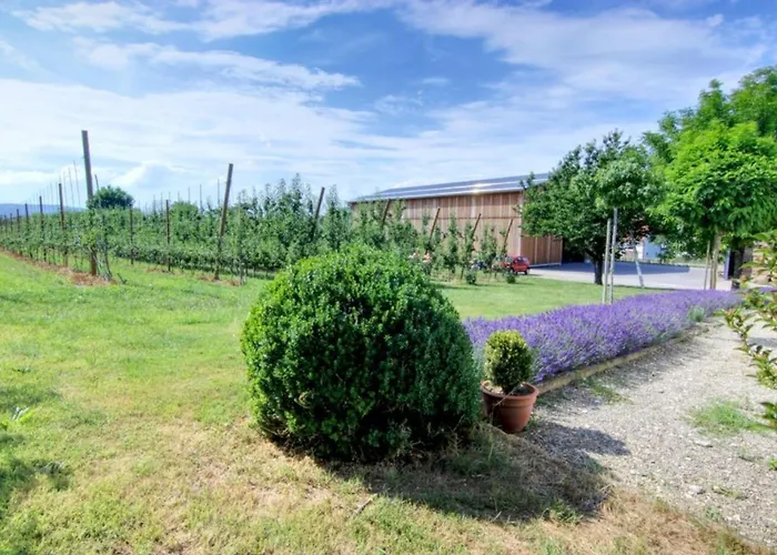 Dom wakacyjny Haus Alkmene